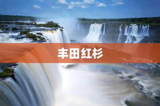 丰田红杉:燃油经济性与领先科技的完美结合 丰田红杉:燃油经济性与领先科技的完美结合