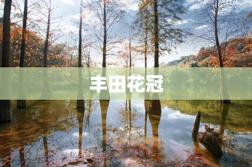 丰田花冠：一款经典的家用轿车
