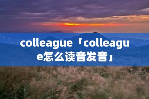 colleague「colleague怎么读音发音」