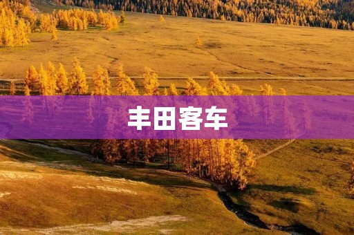 丰田客车:品质与安全的代名词 丰田客车:品质与安全的代名词