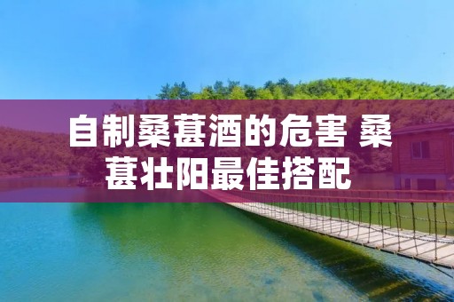 自制桑葚酒的危害 桑葚壮阳最佳搭配