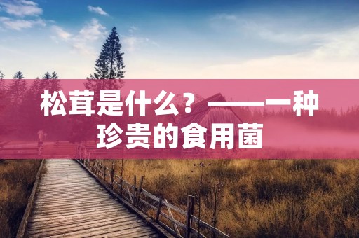 松茸是什么？——一种珍贵的食用菌