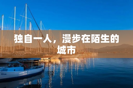 独自一人,漫步在陌生的城市 独自一人,漫步在陌生的城市