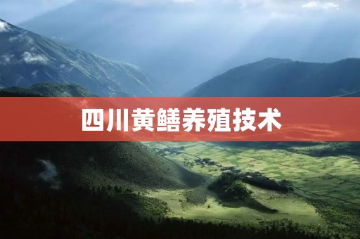 四川黄鳝养殖技术：如何打造高效养殖模式