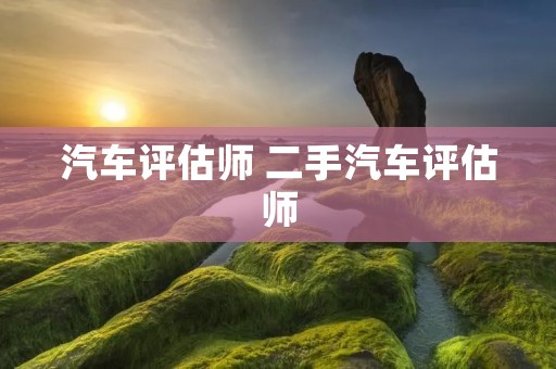 汽车评估师 二手汽车评估师 汽车评估师 二手汽车评估师