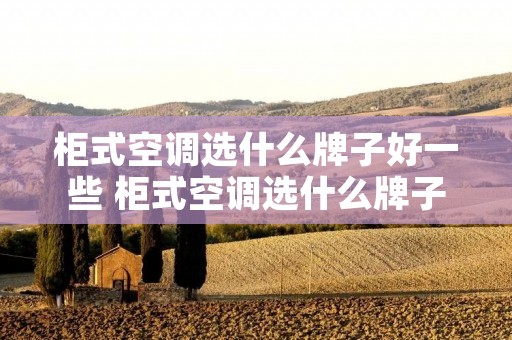 柜式空调选什么牌子好一些 柜式空调选什么牌子好一些呢 柜式空调选什么牌子好一些 柜式空调选什么牌子好一些呢