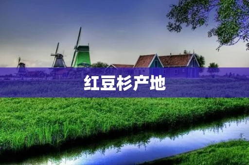 红豆杉产地：探寻它的神秘故乡