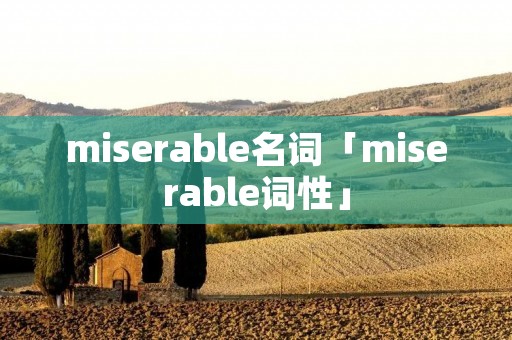 miserable名词「miserable词性」