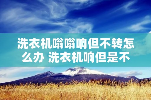洗衣机嗡嗡响但不转怎么办 洗衣机响但是不转,什么原因引起的