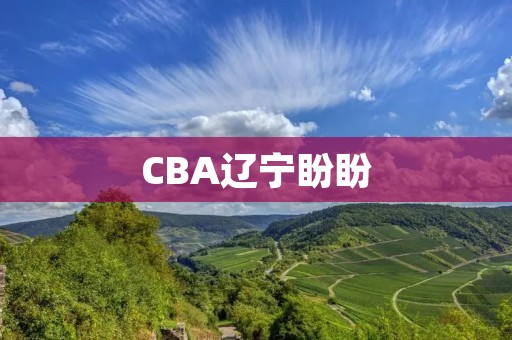 CBA辽宁盼盼：打造中国篮球的新势力