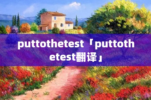 puttothetest「puttothetest翻译」