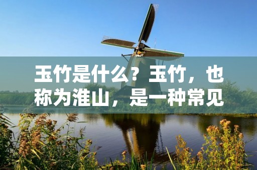 玉竹是什么？玉竹，也称为淮山，是一种常见的中药材，其主要生长在我国南方地区，包括江苏、安徽、湖南、湖北等省份。玉竹的形态为似蒜状的球茎或长圆形块根，表皮黄褐色或淡灰色，质地坚实，质重，断面呈淡黄色，有一种清香的气味。玉竹是一种性平味甘的药材，具有很多的药用价值。