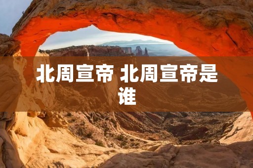 北周宣帝 北周宣帝是谁