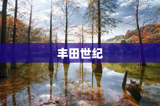 丰田世纪:日本皇室专属座驾 丰田世纪:日本皇室专属座驾