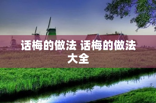 话梅的做法 话梅的做法大全