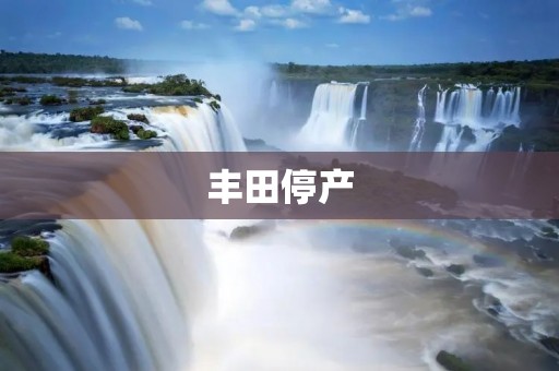 丰田停产:全球供应链受阻 丰田停产:全球供应链受阻