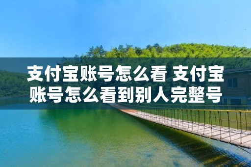 支付宝账号怎么看 支付宝账号怎么看到别人完整号码