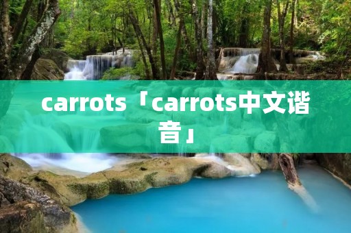 carrots「carrots中文谐音」 carrots「carrots中文谐音」