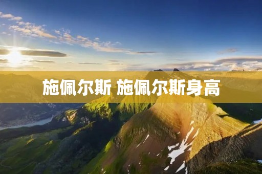 施佩尔斯 施佩尔斯身高