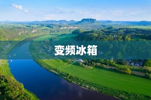 变频冰箱:高效节能的新时代 变频冰箱:高效节能的新时代