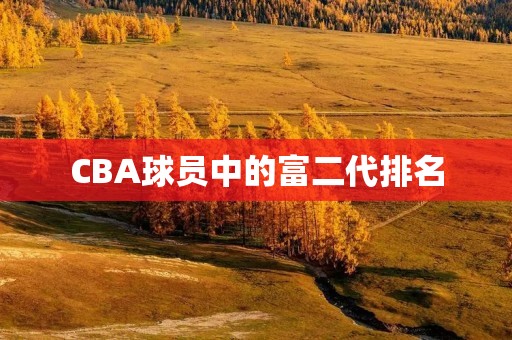 CBA球员中的富二代排名
