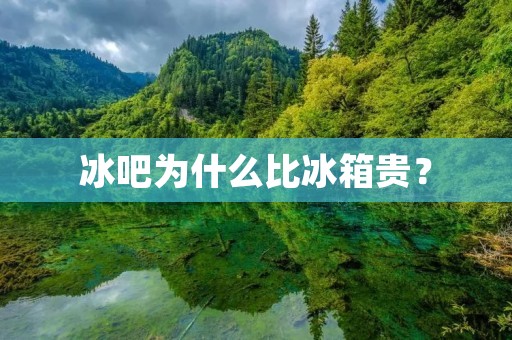 冰吧为什么比冰箱贵？