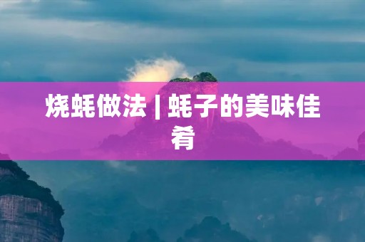 烧蚝做法 | 蚝子的美味佳肴 烧蚝做法 | 蚝子的美味佳肴