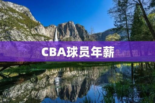 CBA球员年薪:谁是最赚钱的球员? CBA球员年薪:谁是最赚钱的球员?