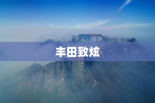 丰田致炫:小巧时尚的城市SUV 丰田致炫:小巧时尚的城市SUV