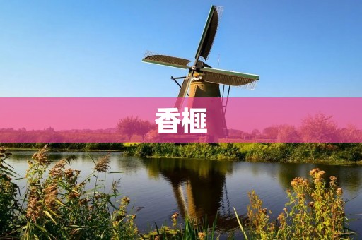 香榧：一种珍贵的食用坚果