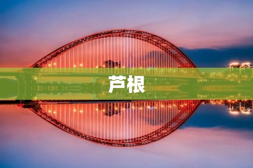 芦根:一种药食同源的中药材 芦根:一种药食同源的中药材