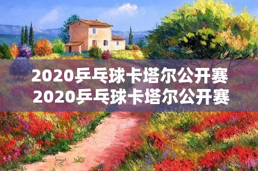 2020乒乓球卡塔尔公开赛 2020乒乓球卡塔尔公开赛男单决赛