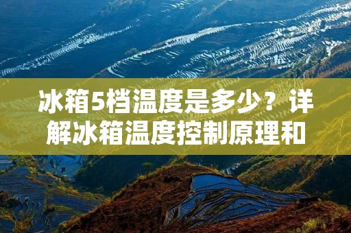 冰箱5档温度是多少?详解冰箱温度控制原理和使用技巧 冰箱5档温度是多少?详解冰箱温度控制原理和使用技巧