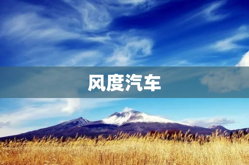 风度汽车:品质与时尚并存 风度汽车:品质与时尚并存