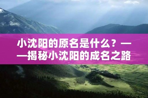 小沈阳的原名是什么?——揭秘小沈阳的成名之路