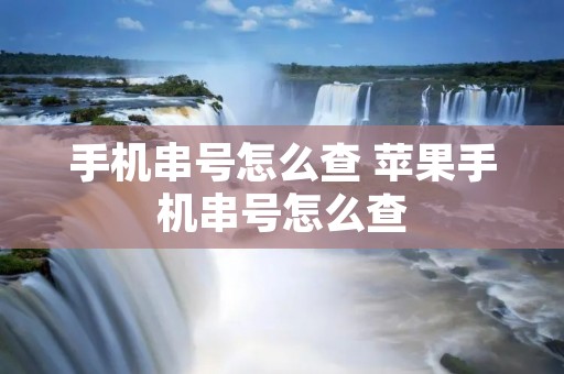 手机串号怎么查 苹果手机串号怎么查