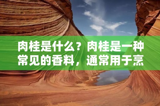 肉桂是什么？肉桂是一种常见的香料，通常用于烹饪和烘焙食品。肉桂味道温暖、甜美，有一定的辛辣味道，非常受欢迎。肉桂也有许多健康益处，如降低血糖、抗菌、抗氧化等等。