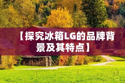 【探究冰箱LG的品牌背景及其特点】