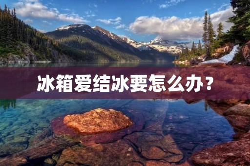 冰箱爱结冰要怎么办? 冰箱爱结冰要怎么办?