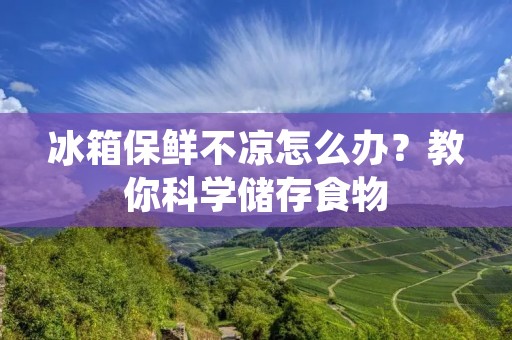 冰箱保鲜不凉怎么办?教你科学储存食物 冰箱保鲜不凉怎么办?教你科学储存食物