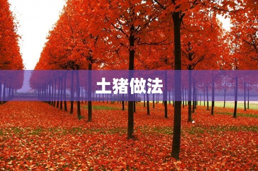 土猪做法:如何制作美味的土猪菜肴 土猪做法:如何制作美味的土猪菜肴