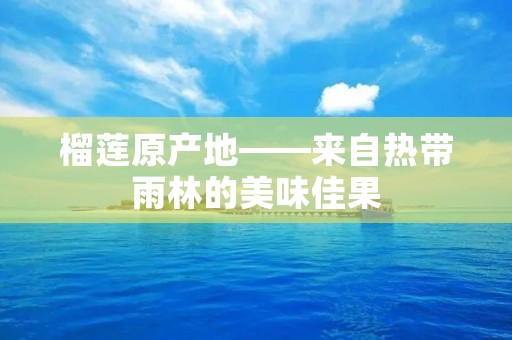 榴莲原产地——来自热带雨林的美味佳果