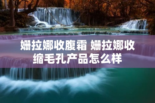 姗拉娜收腹霜 姗拉娜收缩毛孔产品怎么样