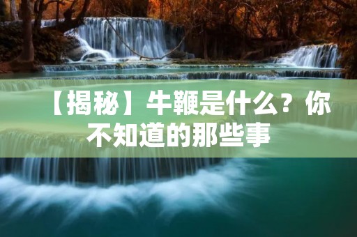 【揭秘】牛鞭是什么?你不知道的那些事 【揭秘】牛鞭是什么?你不知道的那些事