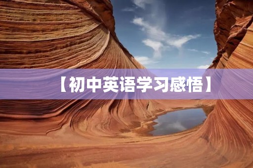 【初中英语学习感悟】