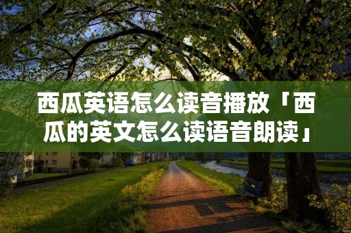 西瓜英语怎么读音播放「西瓜的英文怎么读语音朗读」