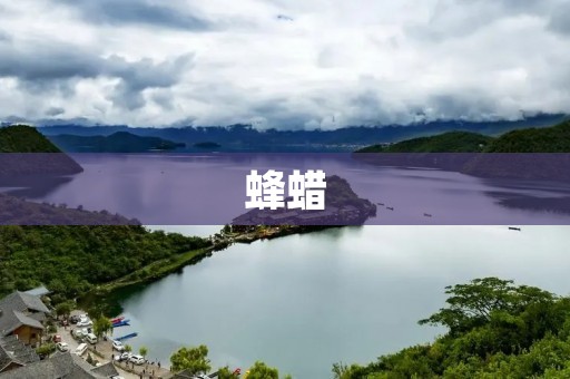蜂蜡:一种神奇的天然物质 蜂蜡:一种神奇的天然物质