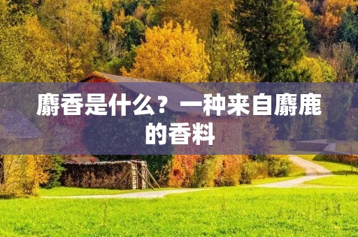 麝香是什么?一种来自麝鹿的香料 麝香是什么?一种来自麝鹿的香料