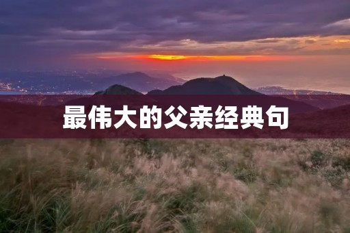 最伟大的父亲经典句