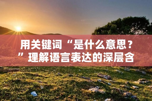 用关键词“是什么意思？”理解语言表达的深层含义